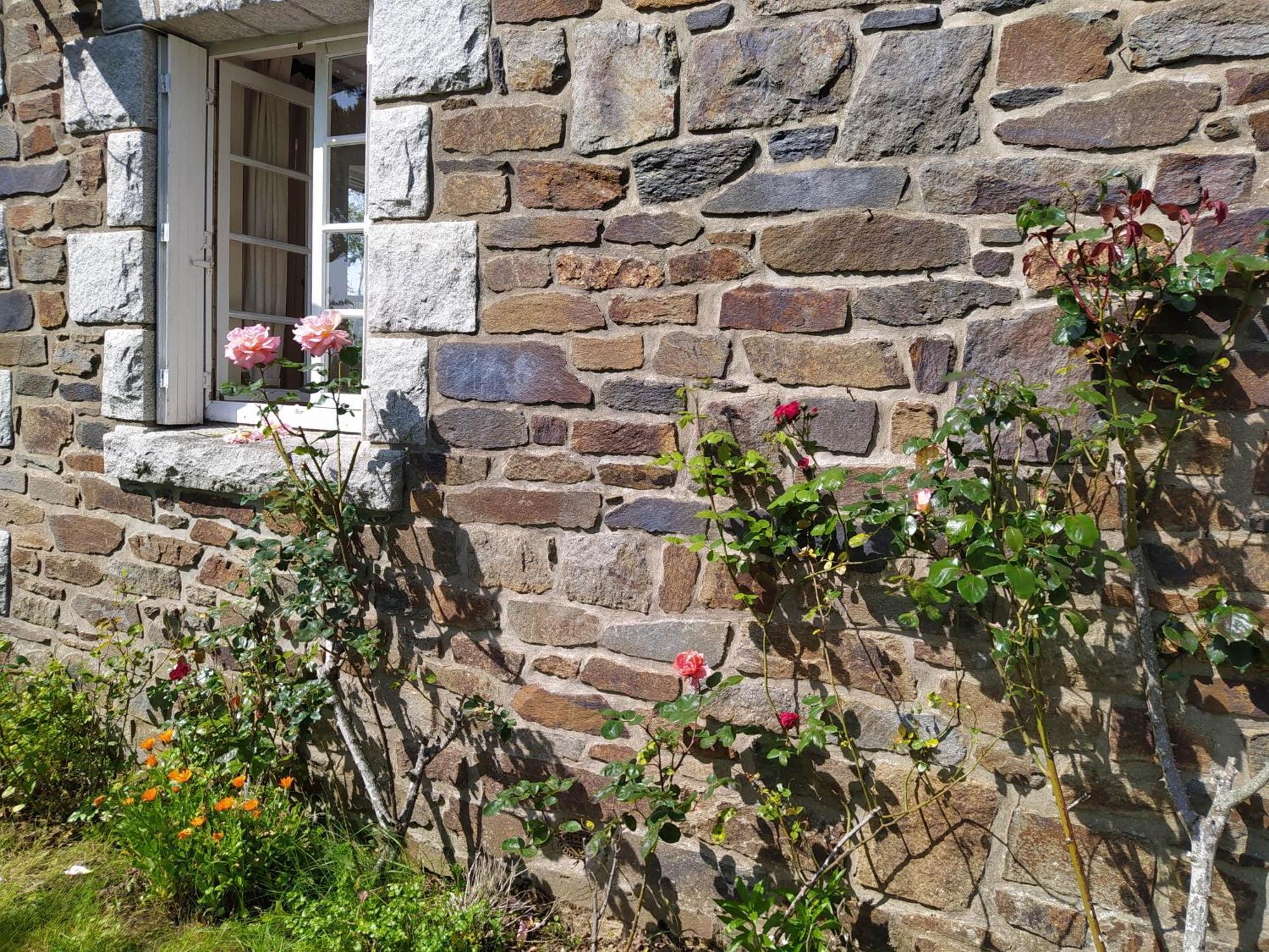 D'hotes Bord De Homestay